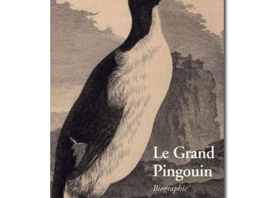 Le Grand Pingouin