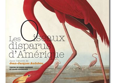 Les oiseaux disparus d’Amérique