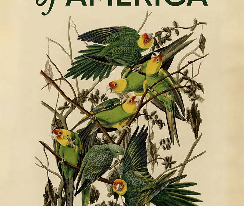 Film et nouvelle biographie sur Audubon