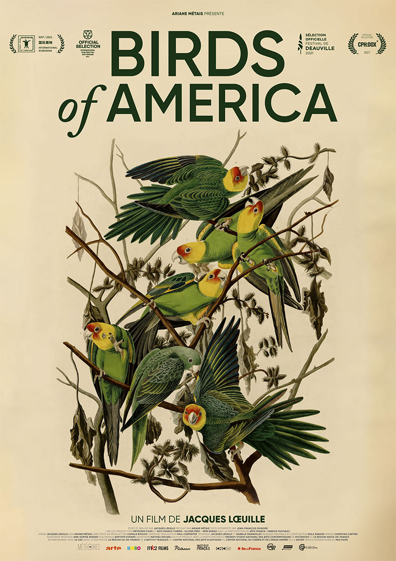 Affiche du film Birds ofAmerica de Jacques Loeille