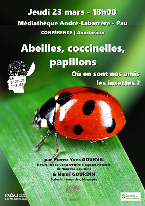 Abeilles, coccinelles, papillons ; où en sont nos amis les insectes ?